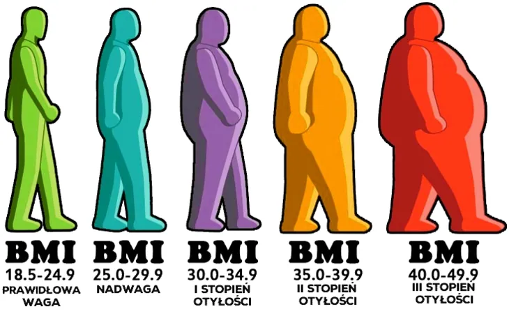 Infografika z pięcioma kolorowymi sylwetkami człowieka i przypisanymi zakresami BMI: prawidłowa waga 18,5 do 24,9, nadwaga 25,0 do 29,9 oraz trzy stopnie otyłości powyżej 30,0