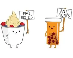 Prosty rysunek: kubek jogurtu z owocami trzyma tabliczkę z napisem „pro biotics”, a naprzeciw niego opakowanie leku trzyma tabliczkę „anti biotics”