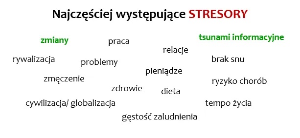 Chmura słów z najczęściej występującymi stresorami: praca, relacje, pieniądze, zdrowie, brak snu, tempo życia