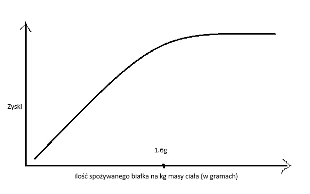 Odręczny wykres: oś pozioma to ilość spożywanego białka na kilogram masy ciała, oś pionowa to zyski. Krzywa rośnie stromo, a powyżej 1,6 g wypłaszcza się