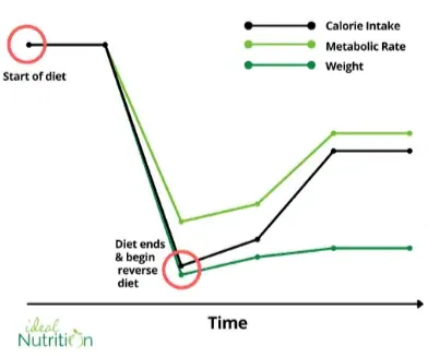 Wykres przebiegu reverse dietingu. Po zakończeniu diety kalorie i tempo metabolizmu rosną stopniowo, a masa ciała pozostaje niemal płaska.